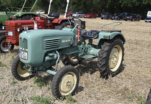  DSQ4548
