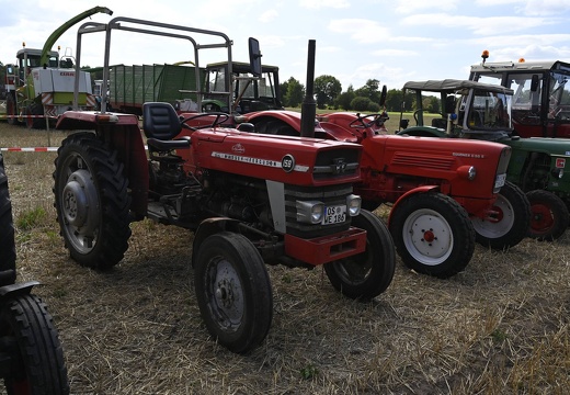  DSQ4474