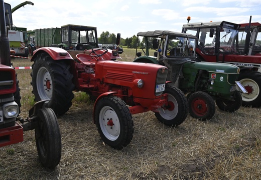  DSQ4475