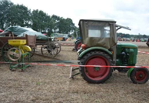 DSO 7004