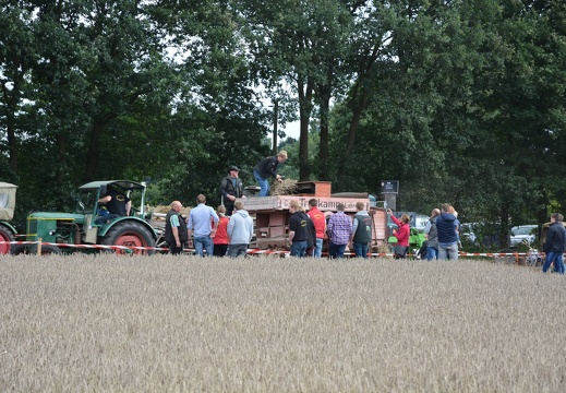 DSO 7019