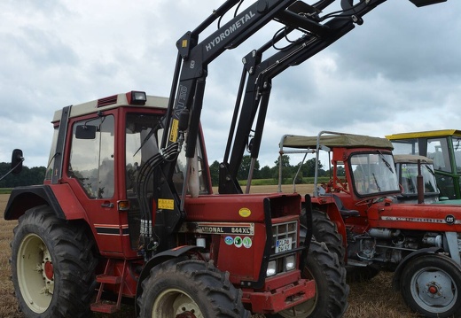 DSO 6951
