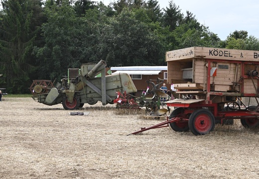  DSQ6736