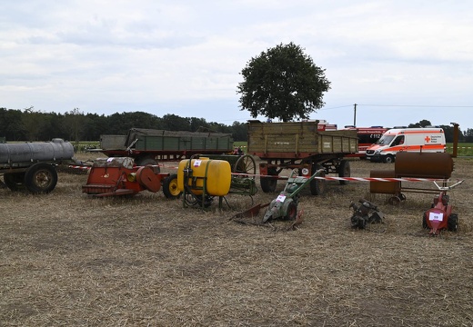  DSQ6753