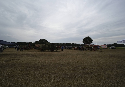  DSQ6782