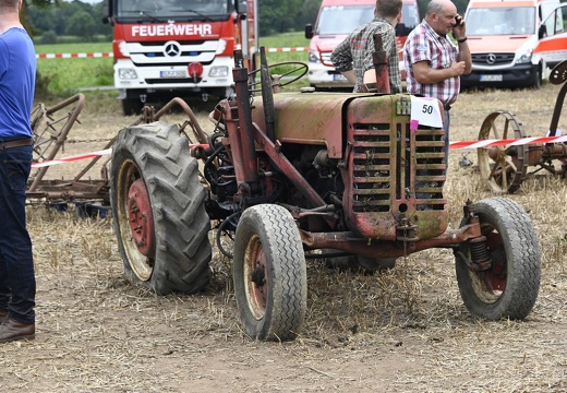  DSQ6727