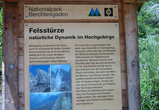 DSCN4205