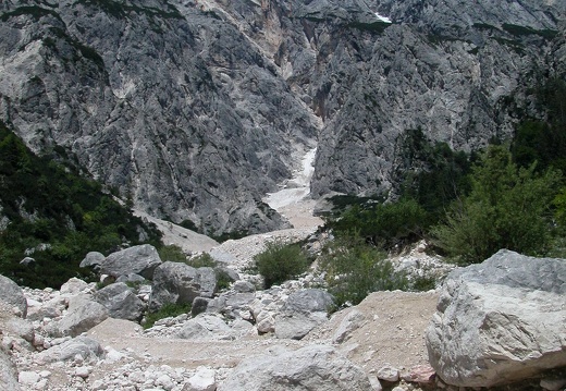 DSCN4207