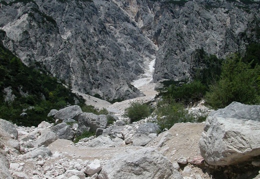 DSCN4208