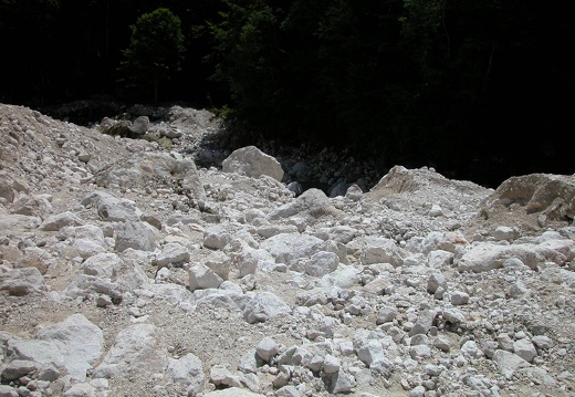DSCN4209