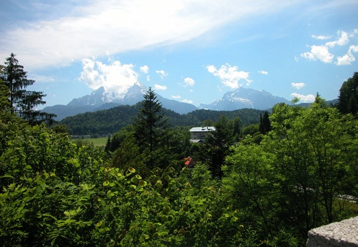 DSCN4220