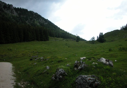 DSCN4344