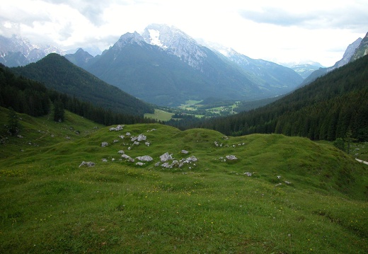 DSCN4363