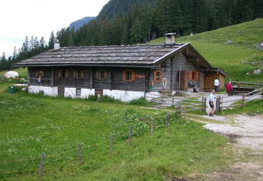 DSCN4367