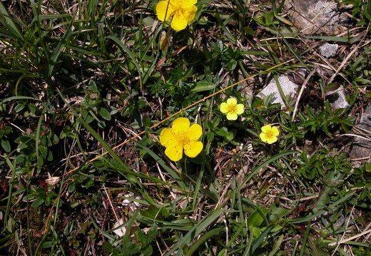 DSCN4376