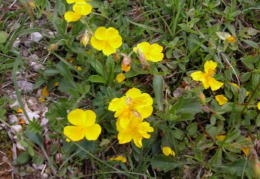 DSCN4383