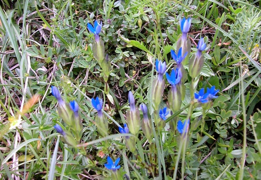 DSCN4384