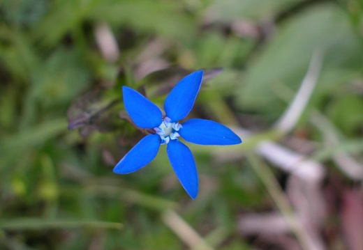 DSCN4385