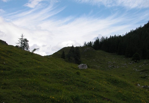 DSCN4388