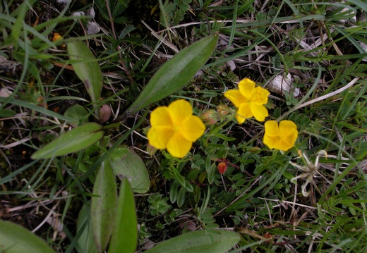 DSCN4389