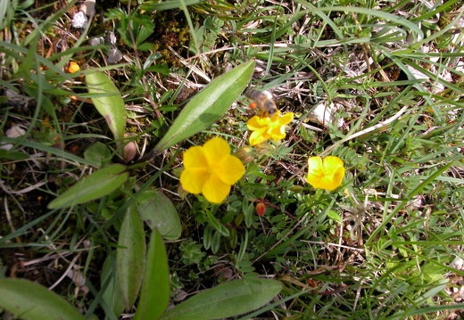 DSCN4390