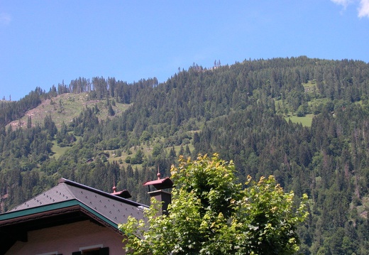 DSCN4438