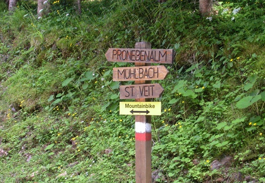DSCN4447