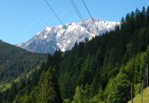 DSCN4461