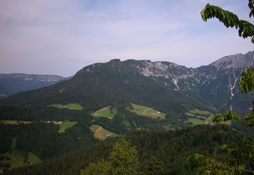 DSCN4482