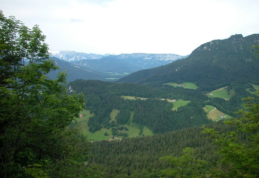 DSCN4484