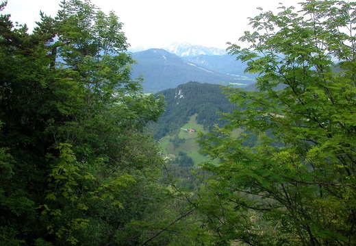 DSCN4487