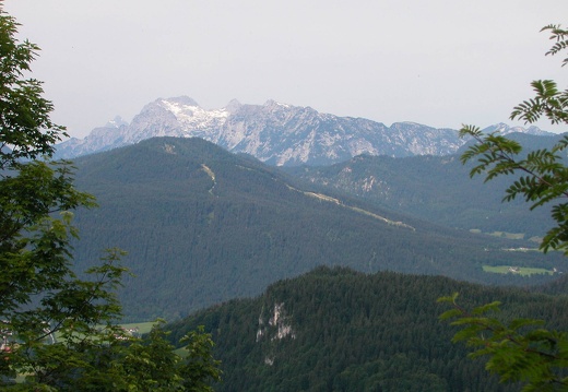DSCN4488