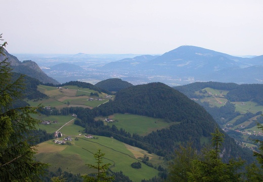 DSCN4500