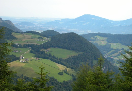 DSCN4501