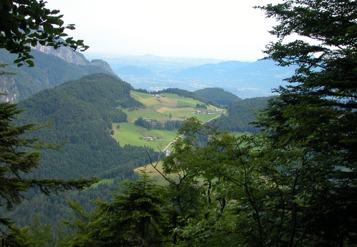 DSCN4509