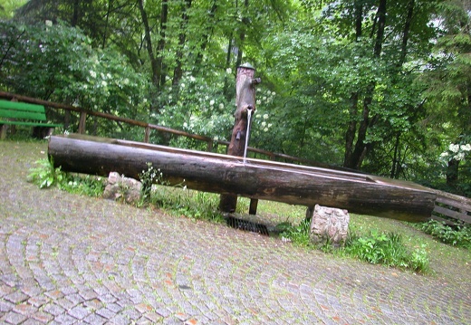 DSCN4521