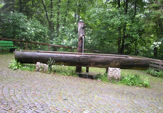 DSCN4522