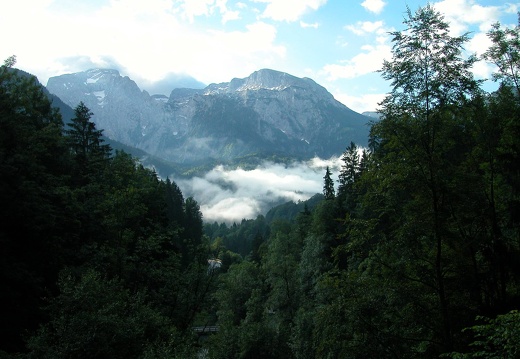 DSCN4541