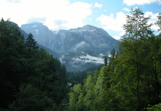 DSCN4544
