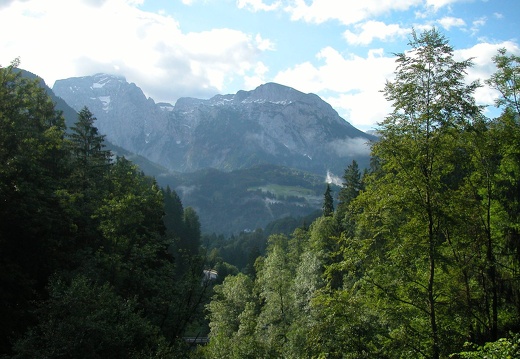 DSCN4546