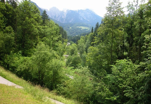 DSCN3984