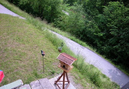 DSCN3985