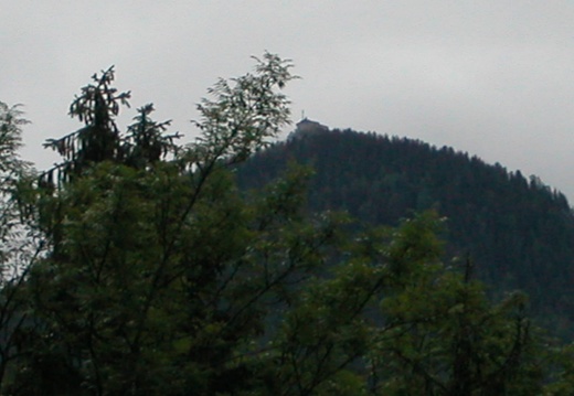 DSCN4021