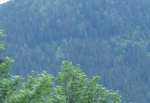 DSCN4022