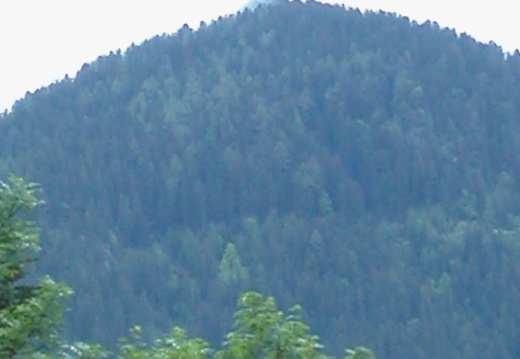 DSCN4023