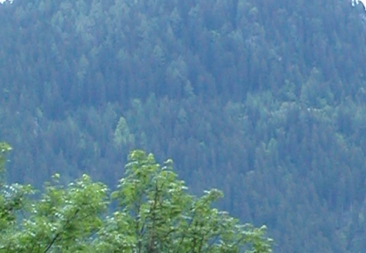 DSCN4024