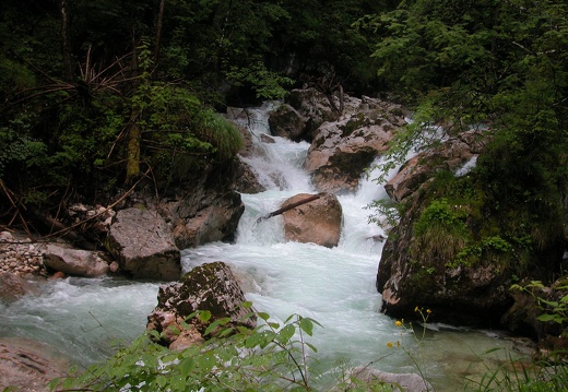 DSCN4032