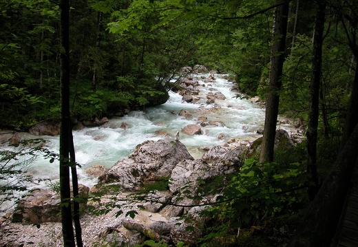 DSCN4039