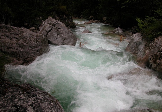 DSCN4042