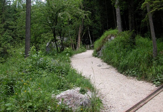 DSCN4054